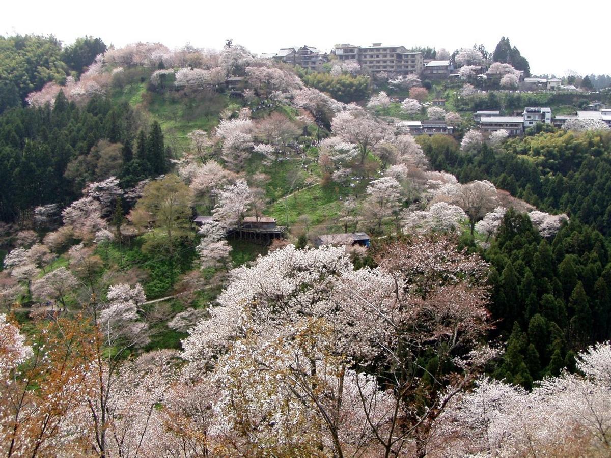 Hounkan Yoshino  Extérieur photo